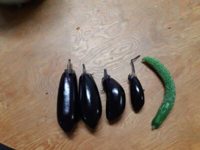 image2_17.jpeg
