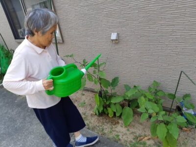image3_10.jpeg