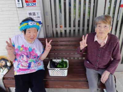 image3_5.jpeg