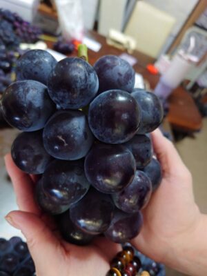 image6_3.jpeg