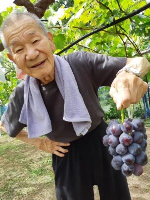image11.jpeg